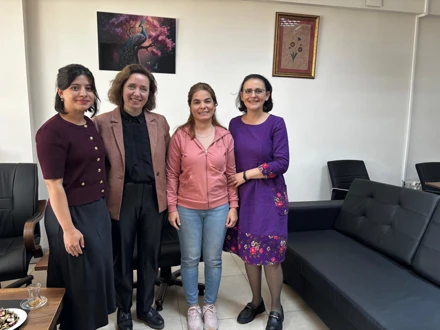 Hemşirelik Araştırmalarında Yenilikçi Yol: Yenilikçi Makale Sorunu